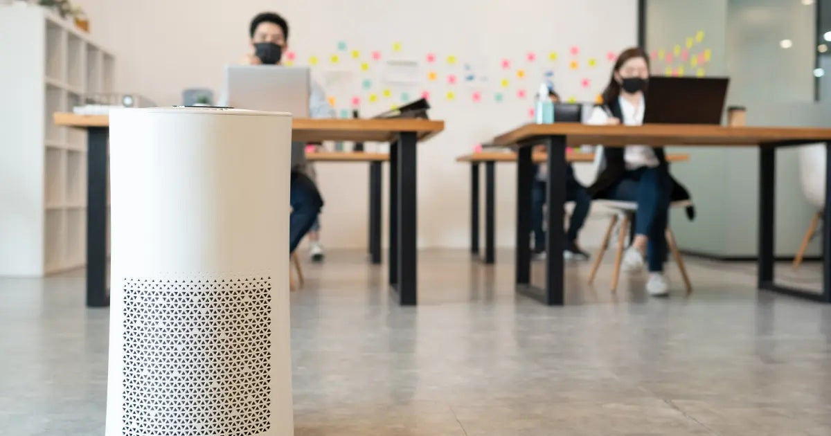 What Kind of Air Purifiers Kill COVID & Viruses