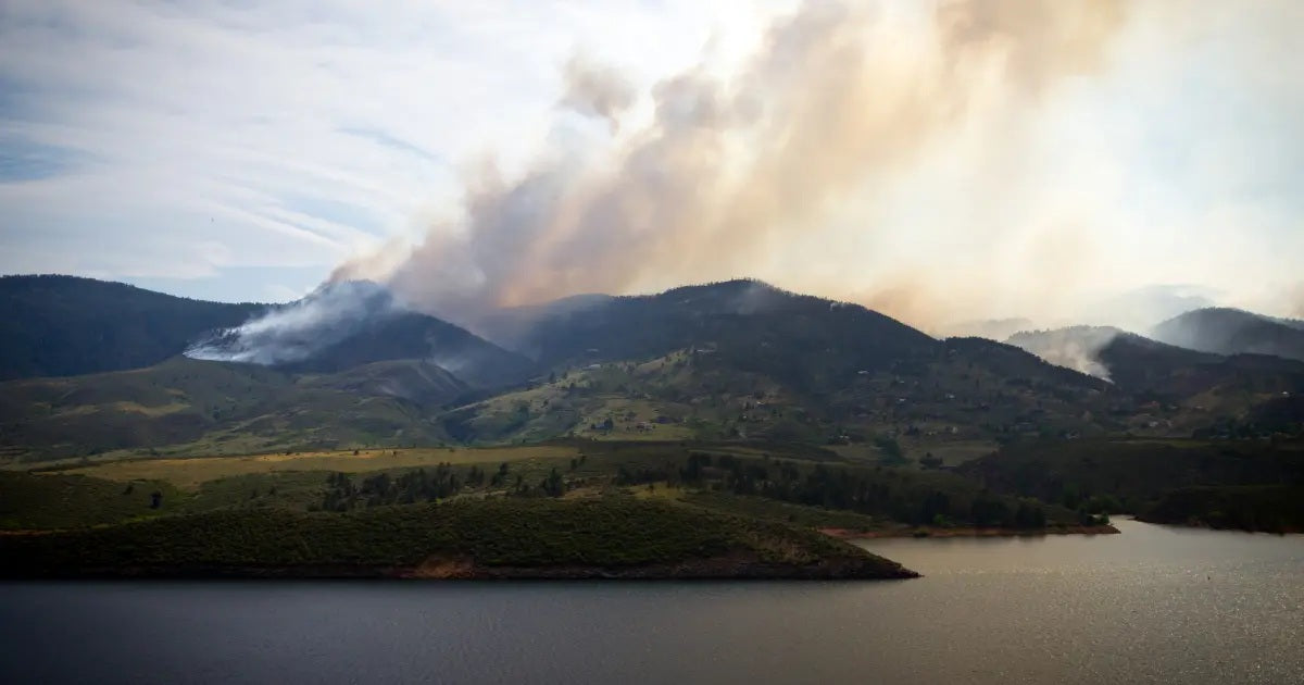 5 Best Air Purifiers for Wildfire Smoke