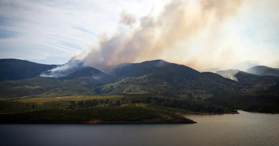 5 Best Air Purifiers for Wildfire Smoke