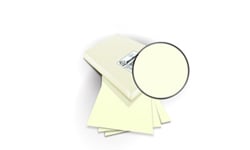 Neenah Paper Natural Environment
