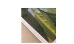 Wall Graphics Wide Format Media