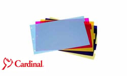 Cardinal Insertable Index Tabs