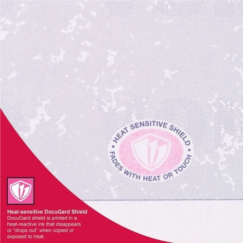 DocuGard Sunburst Prismatic Business Checks [13 Features, 8-1/2" x 11", 24# Top, 2500 Sheets/Carton]