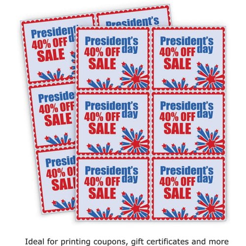 DocuGard Standard Secure Multipurpose Security Coupons [3 Features, 8 1/2" x 11", 24# Blue, 6 Coupons/Sheet, 2500 Sheets/Carton]