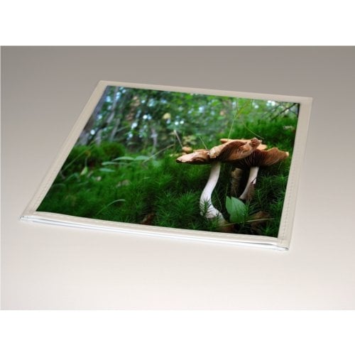 10mil Rigid Clear PVC Archival Print Pockets with White Sewn Border