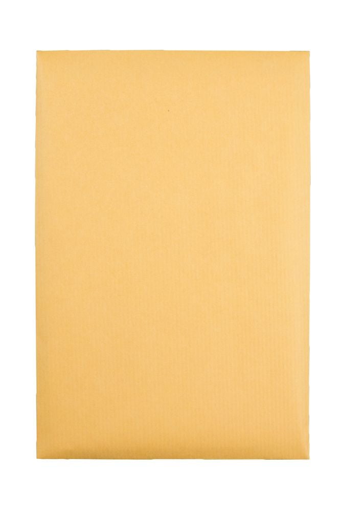 Qaulity Park® Park Ridge 24lb Brown Kraft 6" x 9" Clasp Envelopes with Gummed Closure - 100/Box