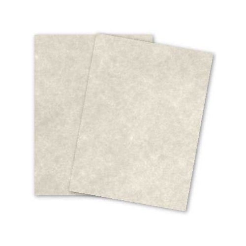 Astroparche Gray A4 Size 65lb Cover - 50pk