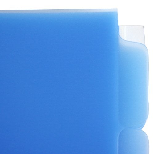 Avery 8-tab Blue 11" x 8.5" Translucent Dividers (5pk) - 12453