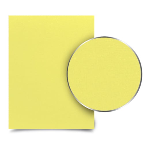 Bashful Banana 12" x 12" Card Stock Covers - 100pk