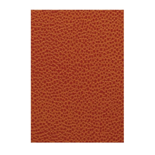 Basketball Embossed Binding Covers 10pk