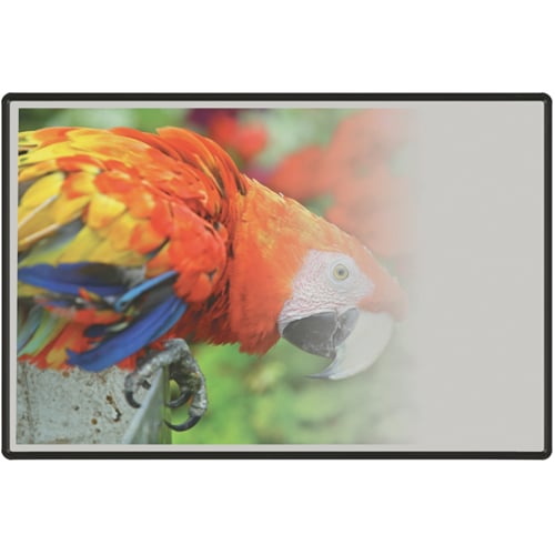 Best-Rite 4' x 12' Evolution Projection Board with Black Presidential Trim