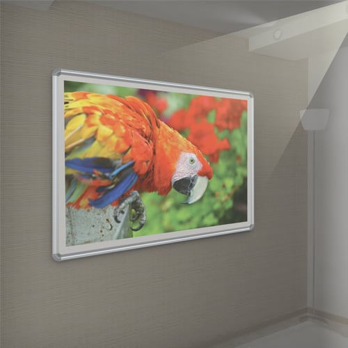 Best-Rite 4' x 16' Evolution Projection Board with Silver Presidential Trim