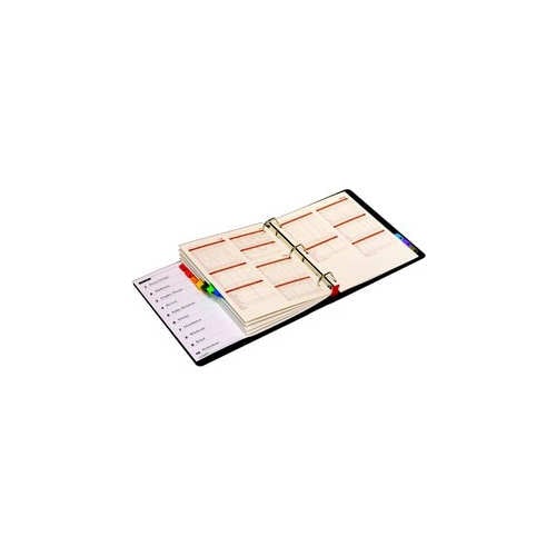 Cardinal Multi-Color Fold-Out Table of Contents/10 Tab Divider - 24pk