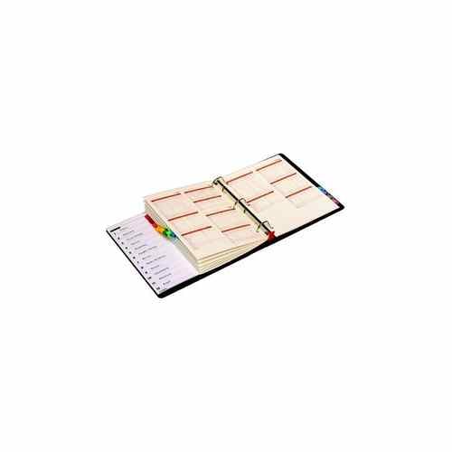 Cardinal Multi-Color Fold-Out Table of Contents/12 Tab Divider - 24pk