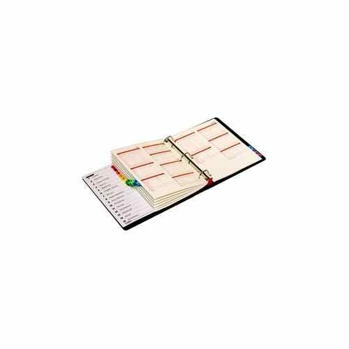 Cardinal Multi-Color Fold-Out Table of Contents/15 Tab Divider - 24pk