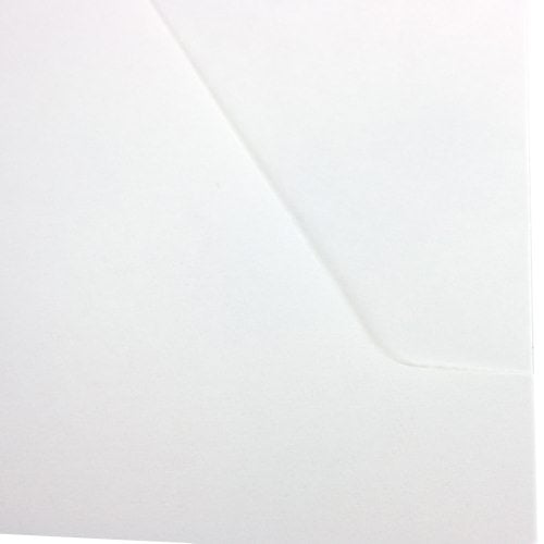 Cardinal White Double Pocket Dividers 24pk - CRD-60155