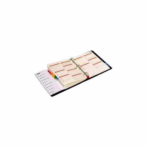 Cardinal Multicolor Fold-Out Table of Contents/8 Tab Divider - 24pk