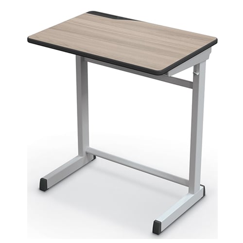 Essentials Student Desk (Platinum Frame + Silverwood Laminate) - 91179