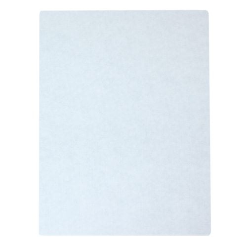 Fastback Suede Title Sheets - 25pk