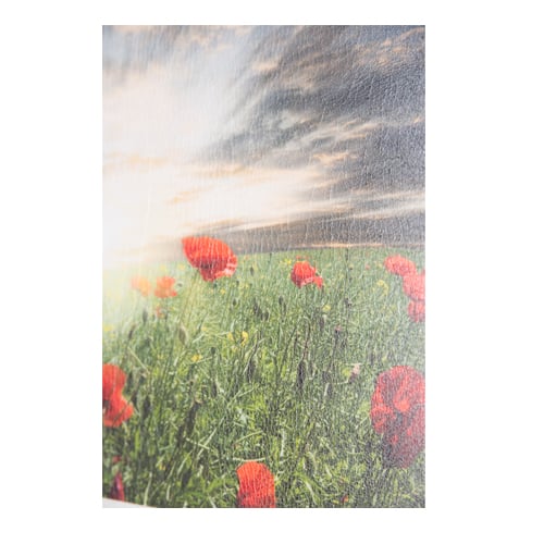Interlam Pro Leather UV 7.0mil 51" x 82' PS Overlaminating Film