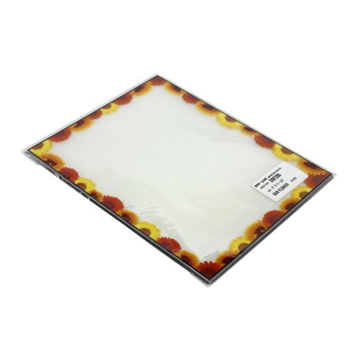 Pizzazz Pouch 9" x 11.5" Fun Frames Sun Flower Pack-24 pk