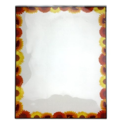 Pizzazz Pouch 9" x 11.5" Fun Frames Sun Flower Pack-24 pk
