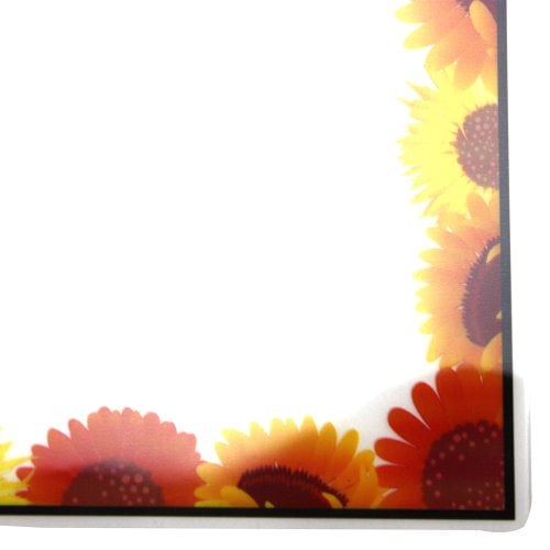 Pizzazz Pouch 9" x 11.5" Fun Frames Sun Flower Pack-24 pk