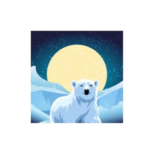 Polar Transit Matte 3.2mil 25.5" x 10' Removable Self-Adhesive Printable Vinyl