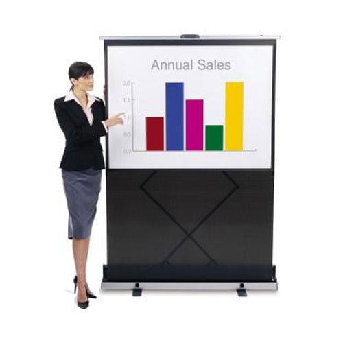 Quartet Instant Cinema Portable Projection Screen