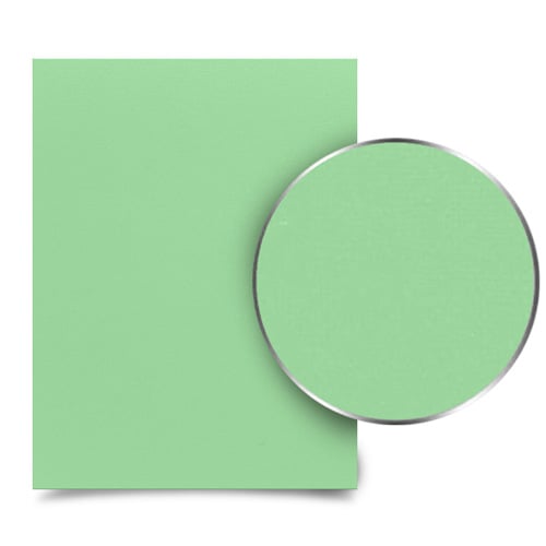 Quiet Kiwi A4 Size Card Stock Covers - 100pk