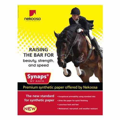 Synaps Synthetic Paper 10mil 12" x 18" - 50pk