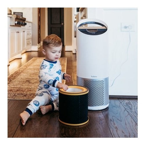 TruSens DuPont Odor and VOC True HEPA Filter for Z-2000 Air Purifier