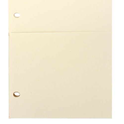 Wilson Jones Multicolor Tab Pocket Indexes - W53154