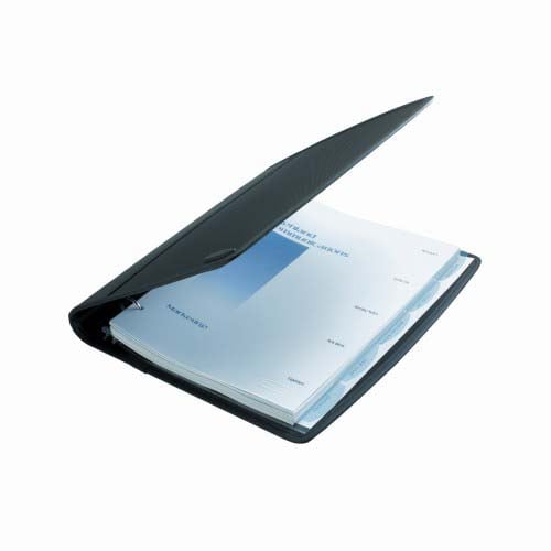 Wilson Jones Professional View-Tab Binder - W55763