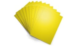 Goldenrod Pre-Punched Binding Paper