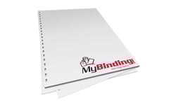 Visit Twin Loop Wire 2:1 Pre-Punched Paper