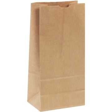 A Kraft Hardware Bag stands upright, showcasing its natural brown paper material, folded top edge, and expandable gusseted bottom for easy filling and stability.