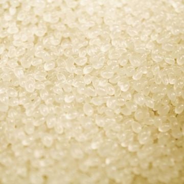 Close-up of translucent plastic pellets used in the manufacturing of Coverbind Standard Perfect Bind Adhesive.
