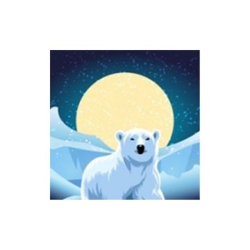 Polar Transit Matte 3.2mil Self-Adhesive Printable Vinyl Image 1