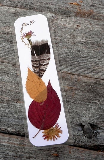 Laminated bookmark of colorful feathers and leaves